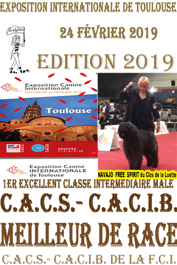 NAVAJO du Clos de la Luette TOULOUSE 2019